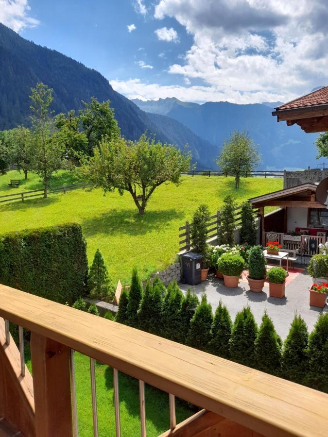 Appartement Hochmuth 齐勒河谷的拉姆绍 外观 照片